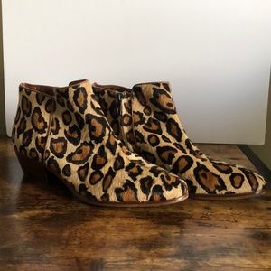 Sam Edelman Petty Leopard Calf Hair Booties